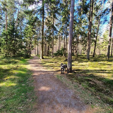 Ferienwohnung Schuberski Lipperreihe Kültér fotó